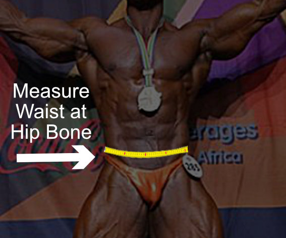 Waist-Measurments Waist-Measurments